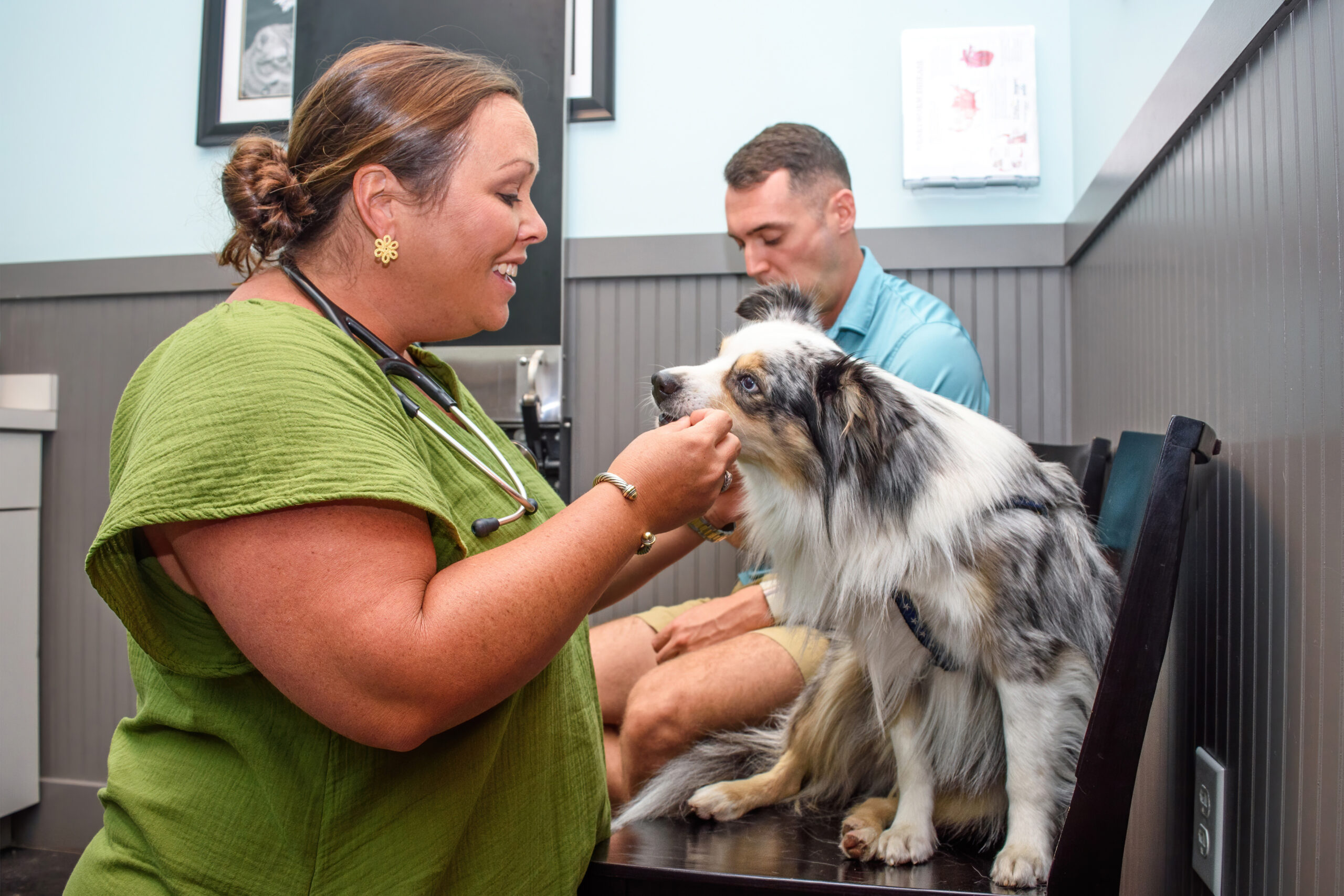 Wellness Exams Tidewater Veterinary