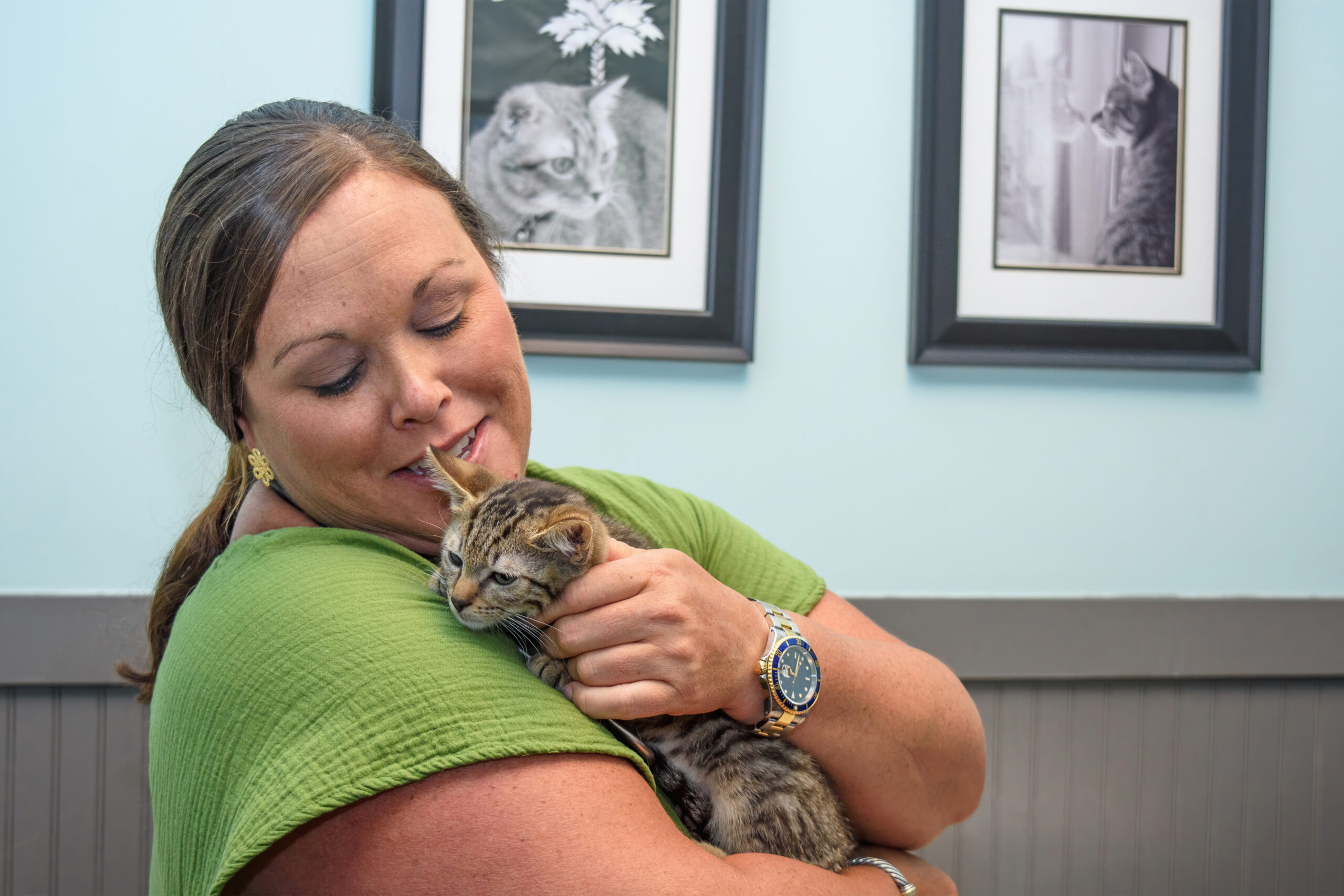 Wellness Exams Tidewater Veterinary