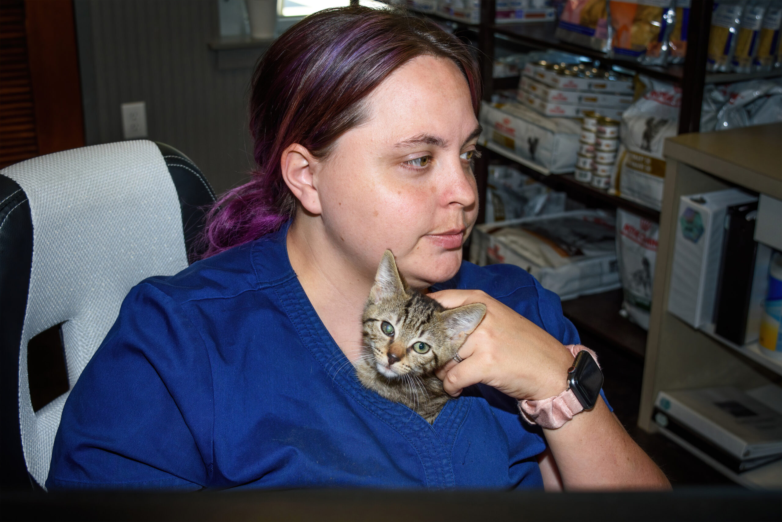 Puppy and Kitten Packet Information Tidewater Veterinary