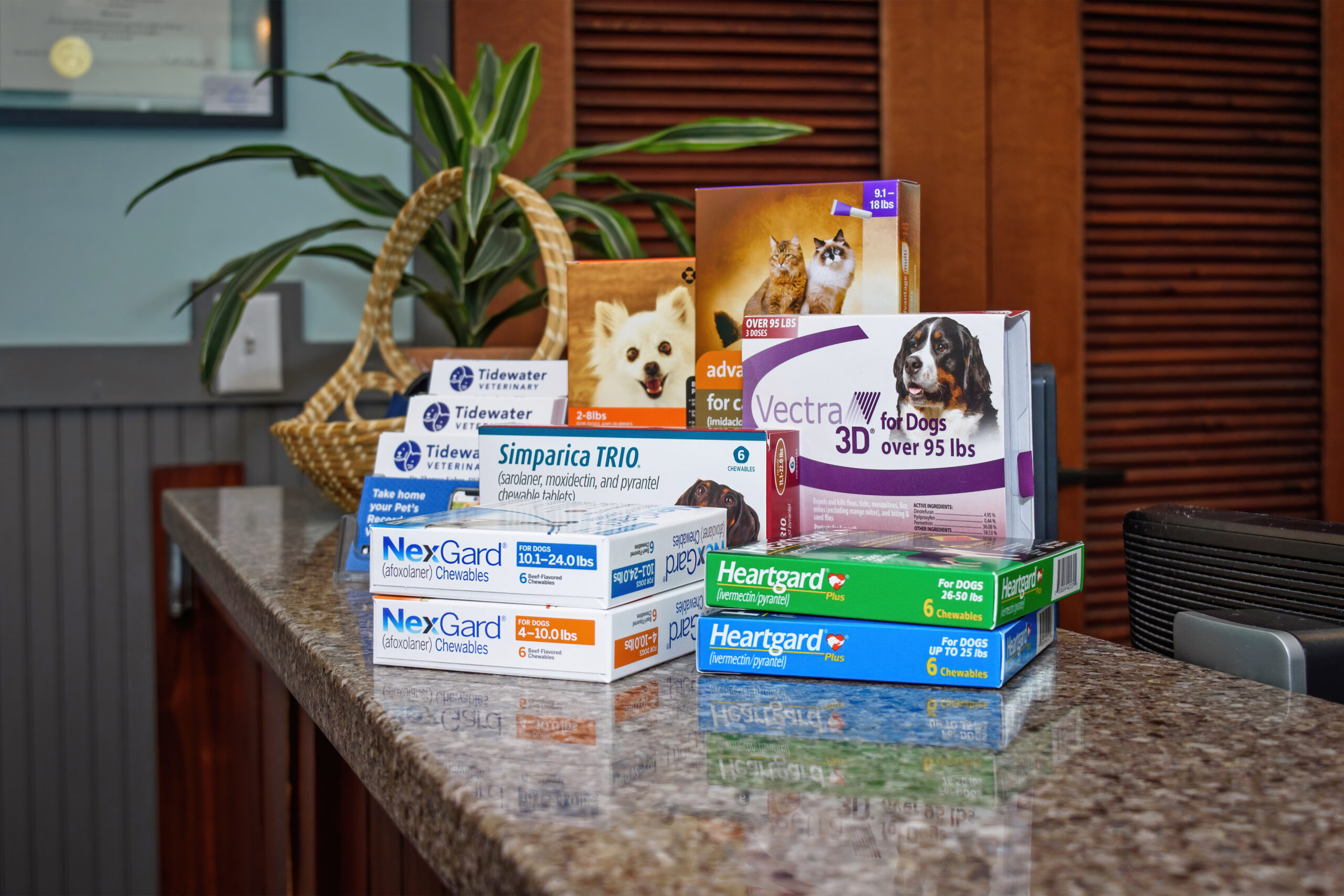 Puppy and Kitten Packet Information Tidewater Veterinary